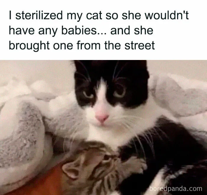 Plot Twist Parenting