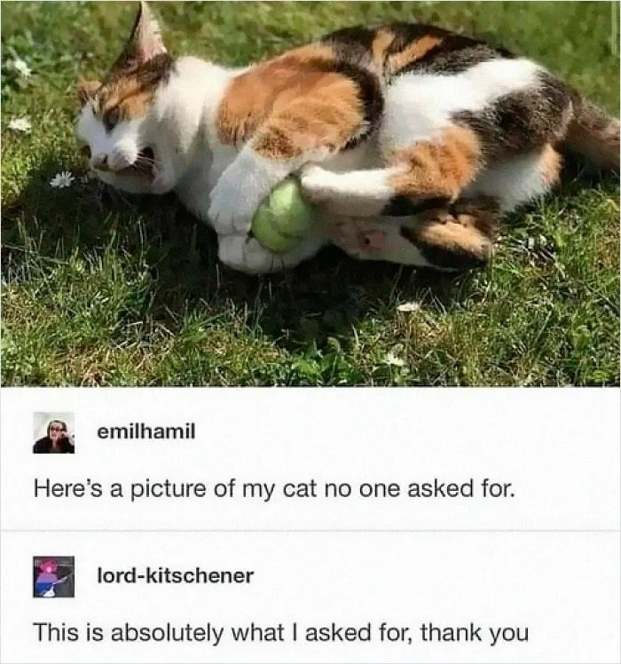 Unsolicited But Perfect