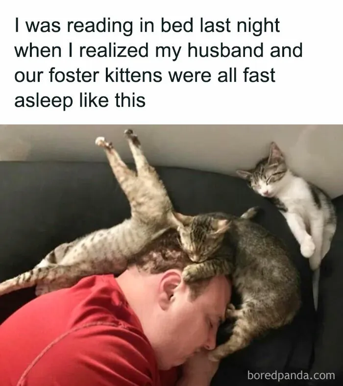 Synchronized Snooze Squad