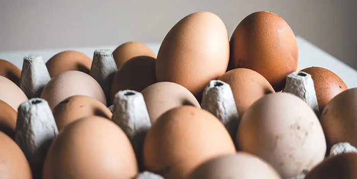 Shallow focus photography of brown eggs