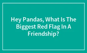 Hey Pandas, What Is The Biggest Red Flag In A Friendship? (Closed)