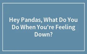 Hey Pandas, What Do You Do When You're Feeling Down? (Closed)