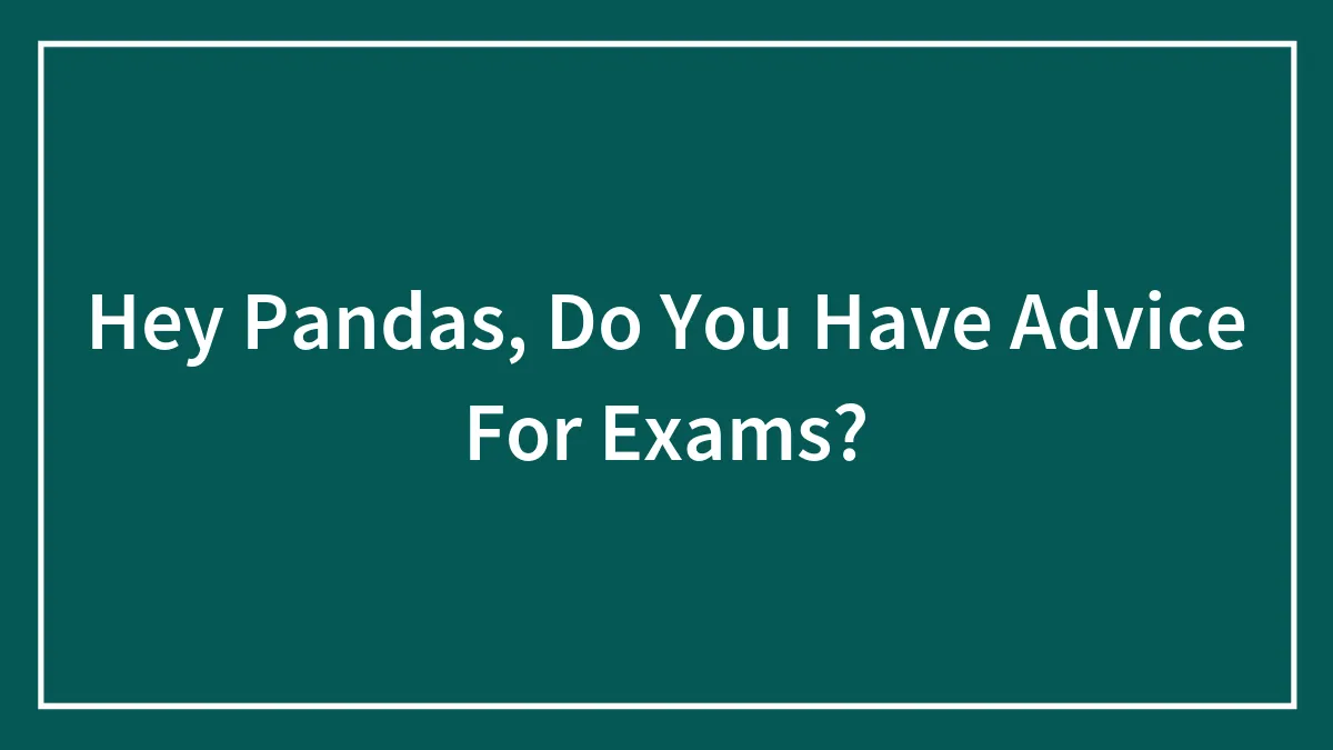 Hey Pandas, Do You Have Advice For Exams?