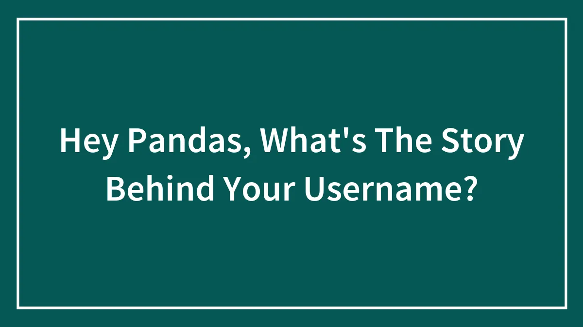 Hey Pandas, What's The Story Behind Your Username?