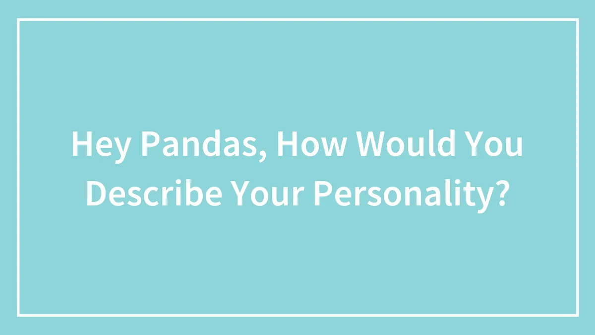 Hey Pandas, How Would You Describe Your Personality? (Closed)