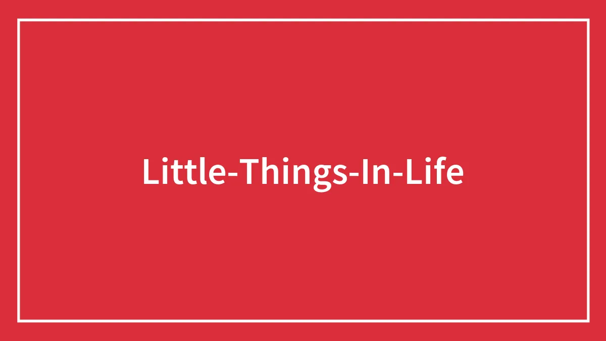 76 Little Things In Life That Bring Big Happiness