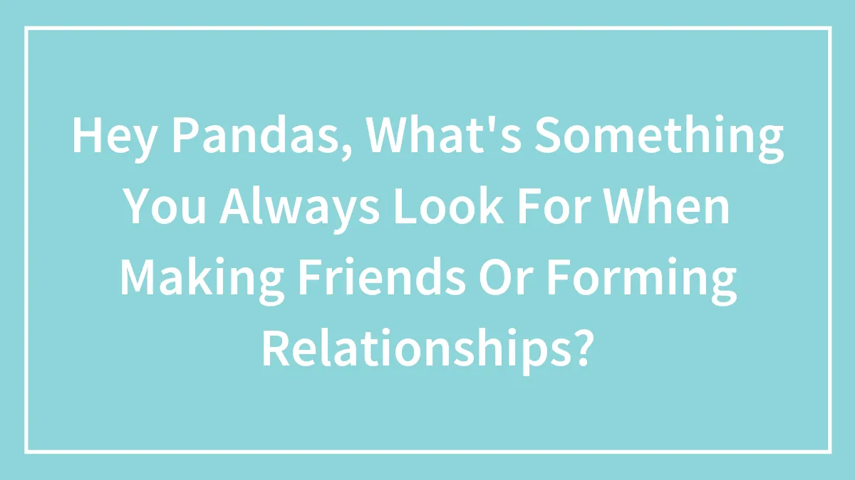 Hey Pandas, What's Something You Always Look For When Making Friends Or Forming Relationships? (Closed)