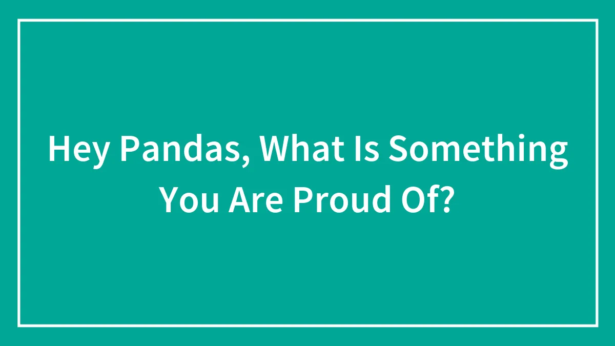 Hey Pandas, What Is Something You Are Proud Of?