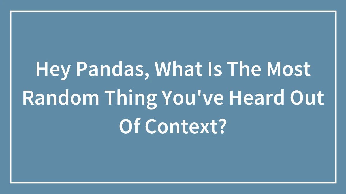 Hey Pandas, What Is The Most Random Thing You've Heard Out Of Context? (Closed)