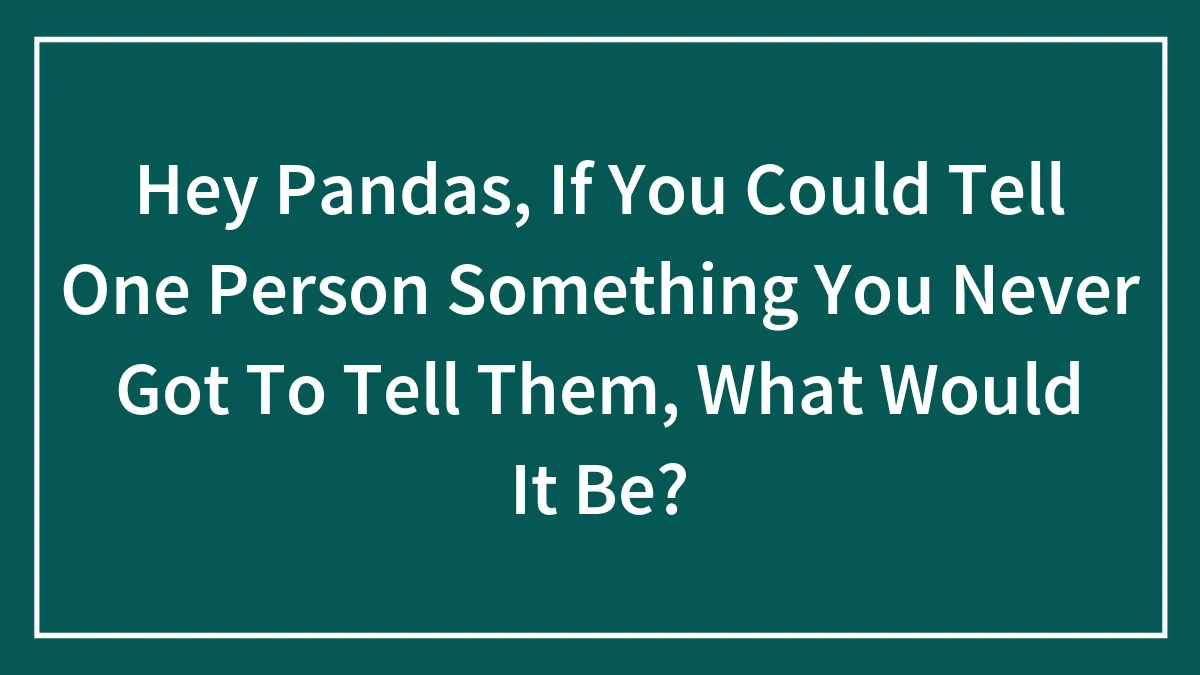 Hey Pandas, If You Could Tell One Person Something You Never Got To Tell Them, What Would It Be?