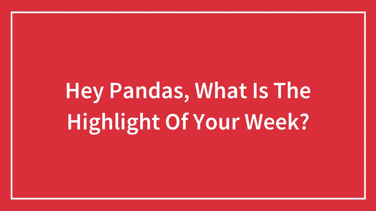 Hey Pandas, What Is The Highlight Of Your Week?