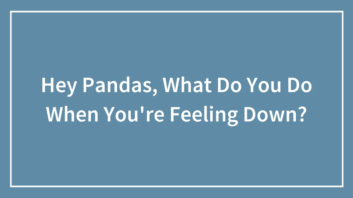 Hey Pandas, What Do You Do When You're Feeling Down? (Closed)