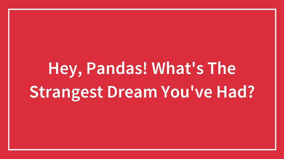 Hey, Pandas! What's The Strangest Dream You've Had?