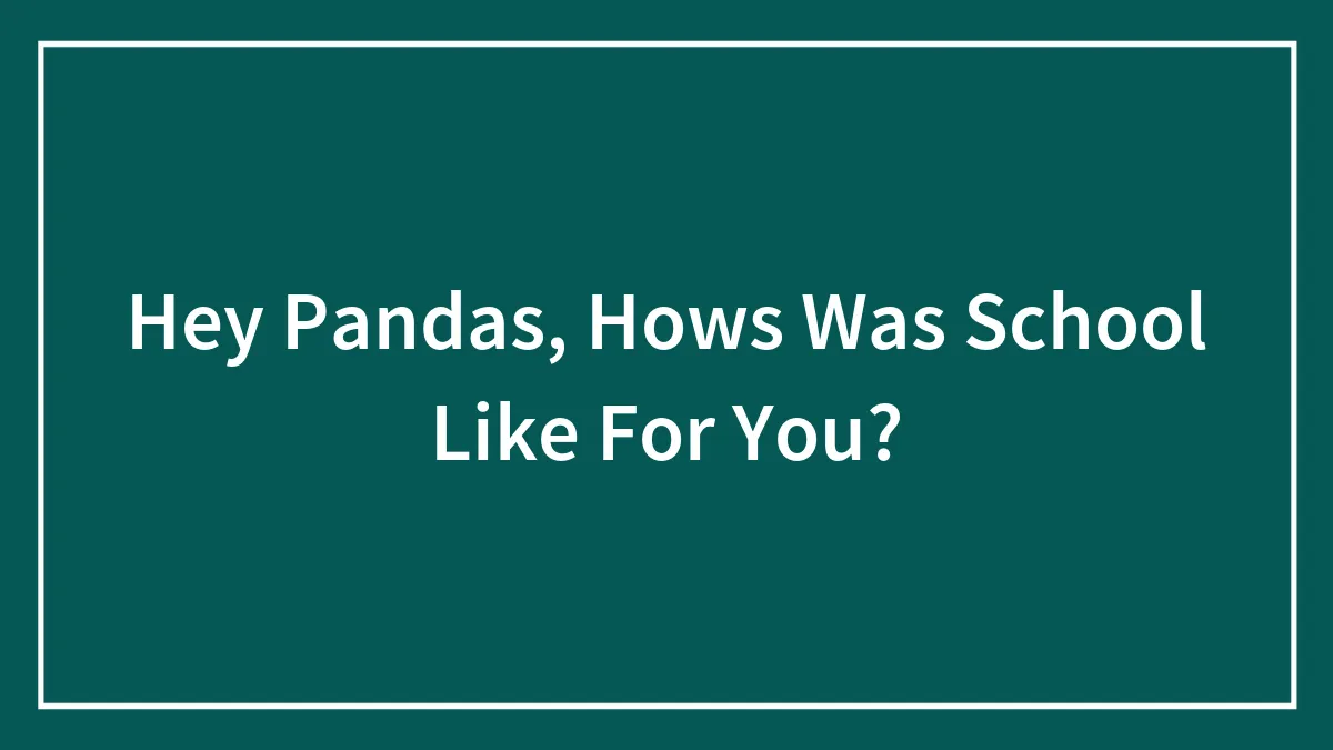 Hey Pandas, Hows Was School Like For You?