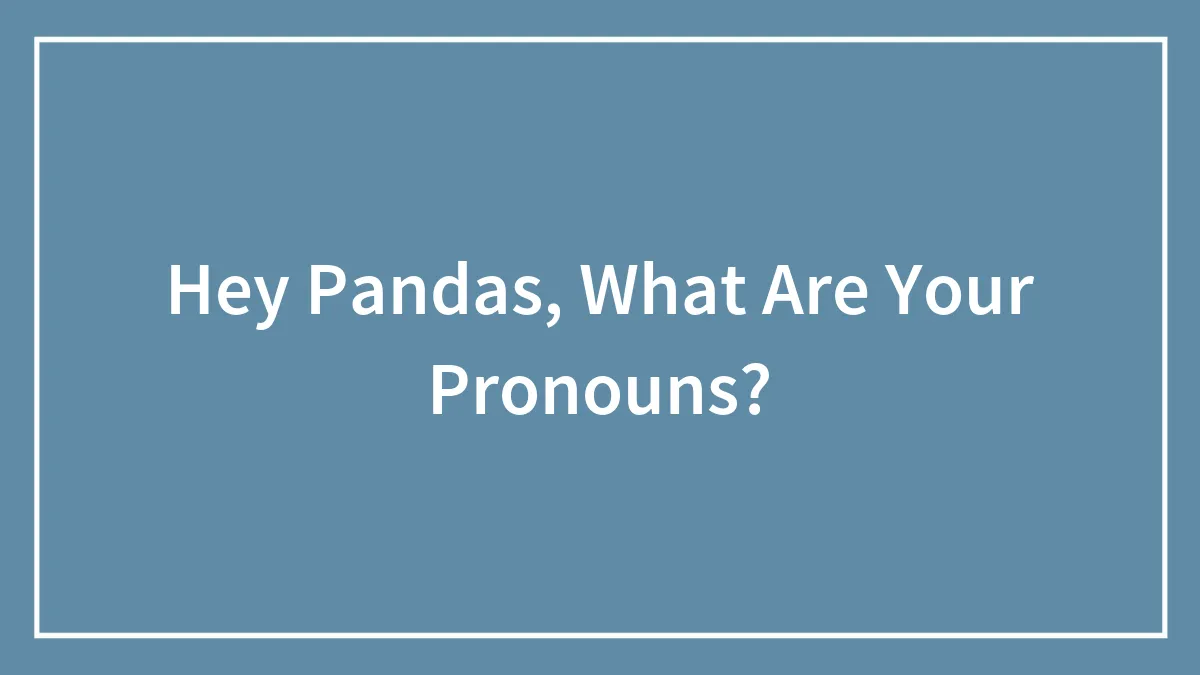 Hey Pandas, What Are Your Pronouns?