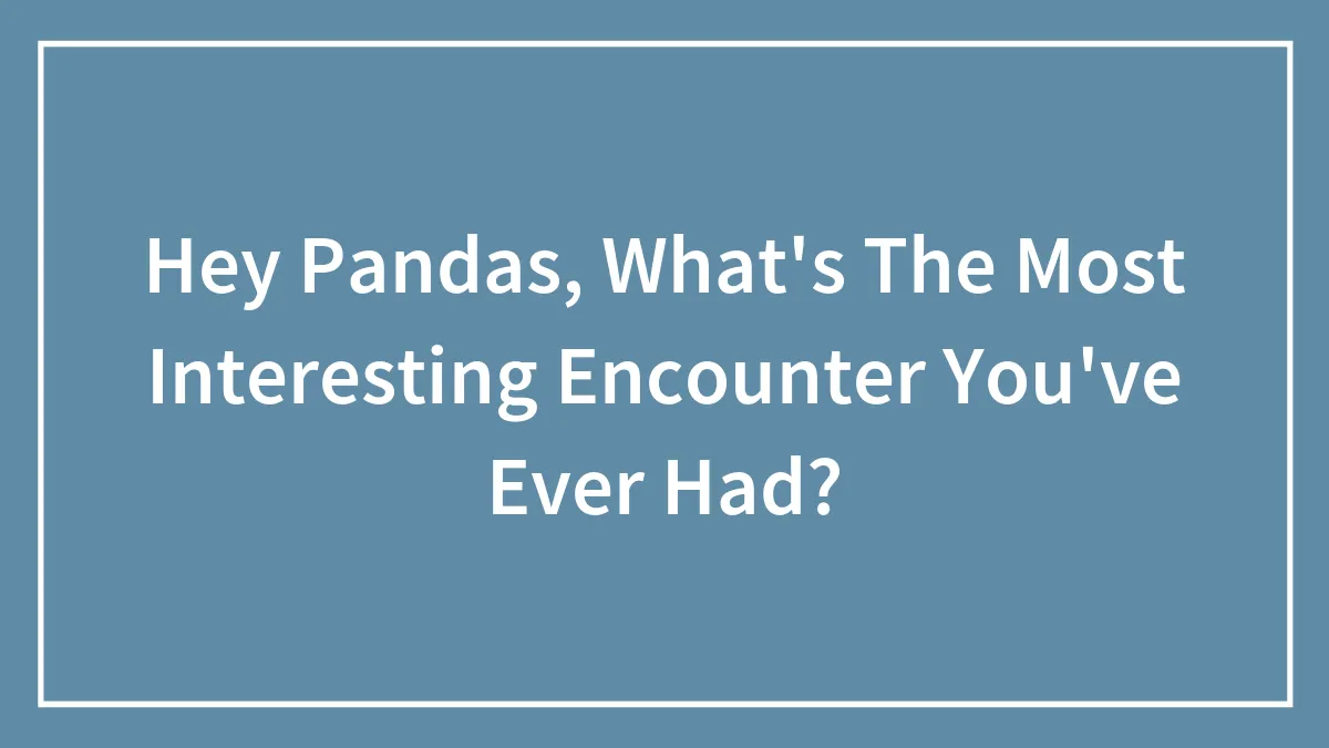 Hey Pandas, What's The Most Interesting Encounter You've Ever Had? (Closed)