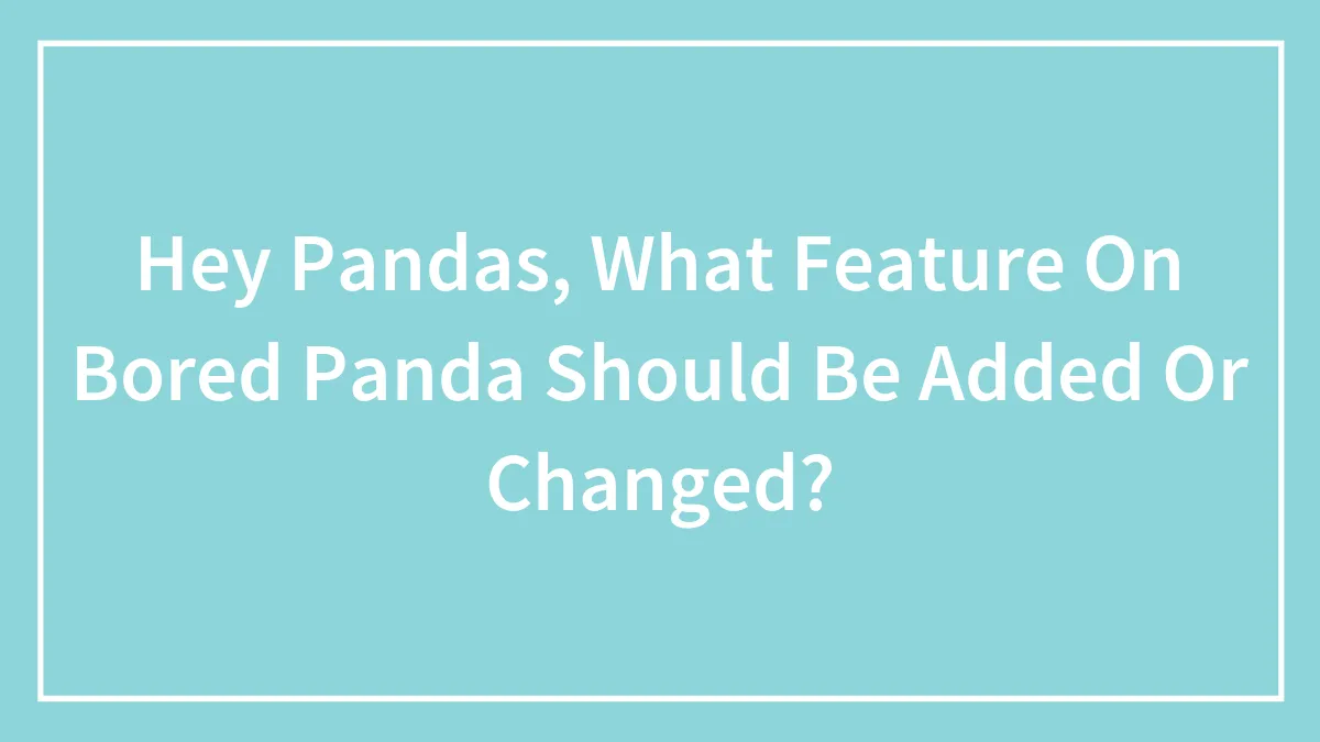 Hey Pandas, What Feature On Bored Panda Should Be Added Or Changed? (Closed)