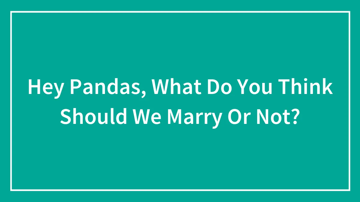 Hey Pandas, What Do You Think Should We Marry Or Not?