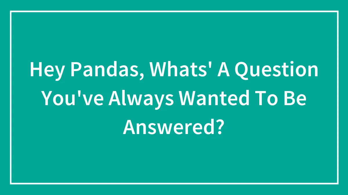 Hey Pandas, Whats' A Question You've Always Wanted To Be Answered? (Closed)
