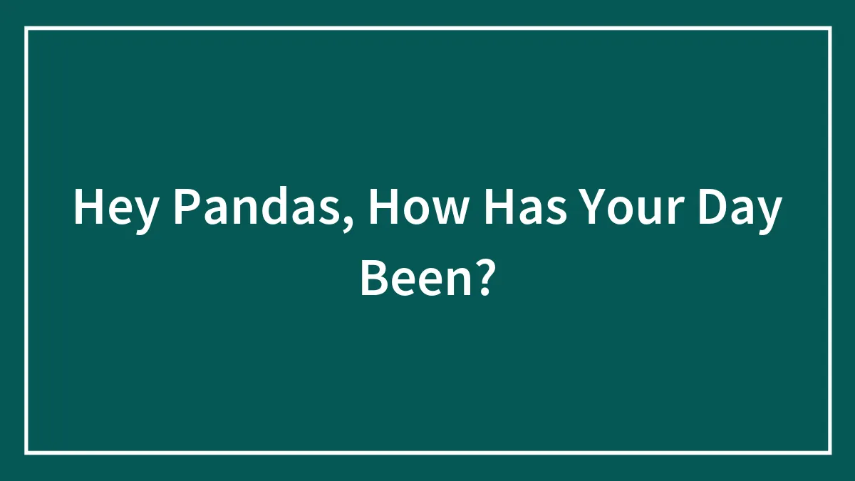 Hey Pandas, How Has Your Day Been?