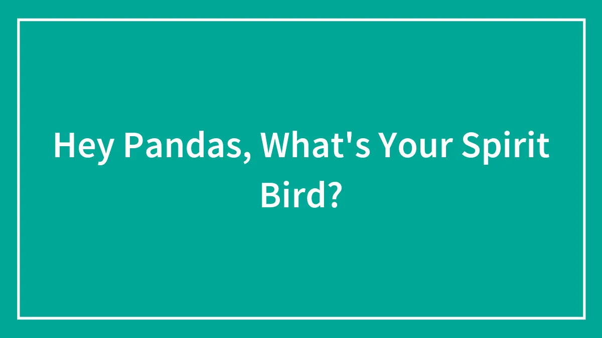 Hey Pandas, What's Your Spirit Bird? (Closed)