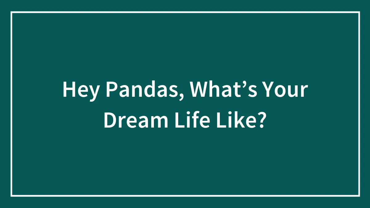 Hey Pandas, What’s Your Dream Life Like?