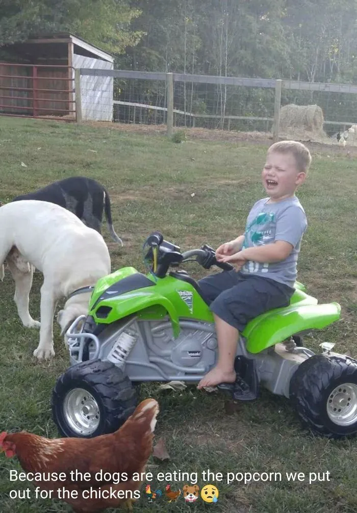 “Why My Kid Is Crying”: 49 Hilariously Stupid Parenting Stories Shared On This Facebook Page