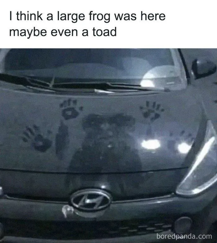 50 Funny Instagram Memes That Might Make You Chuckle
