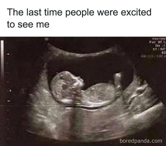 50 Funny Instagram Memes That Might Make You Chuckle