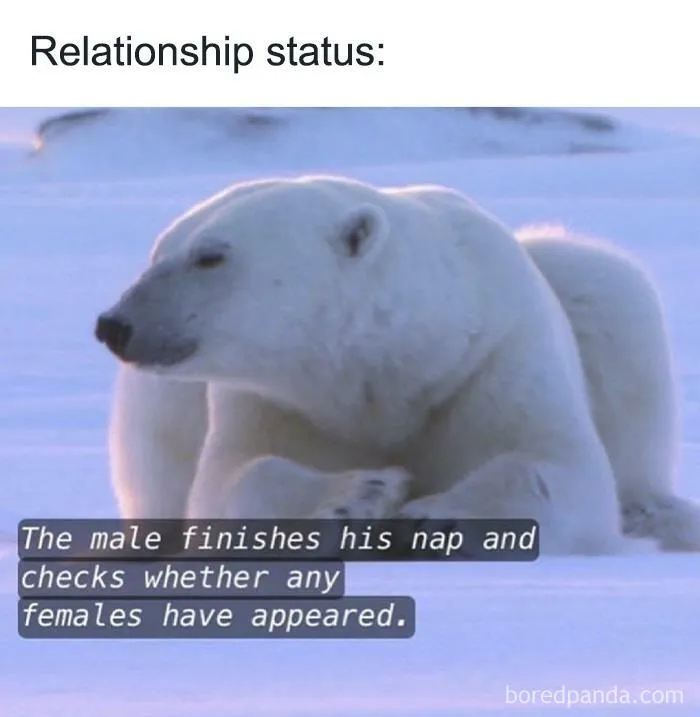50 Funny Instagram Memes That Might Make You Chuckle