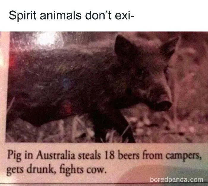 50 Funny Instagram Memes That Might Make You Chuckle