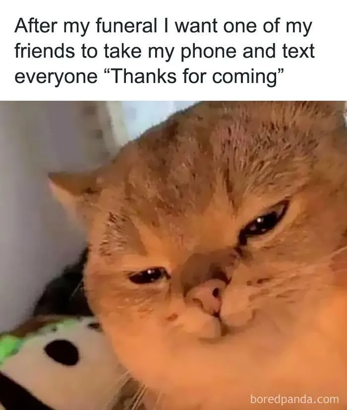 50 Funny Instagram Memes That Might Make You Chuckle