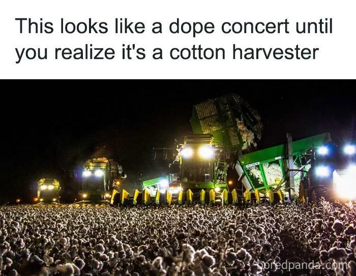 50 Funny Instagram Memes That Might Make You Chuckle