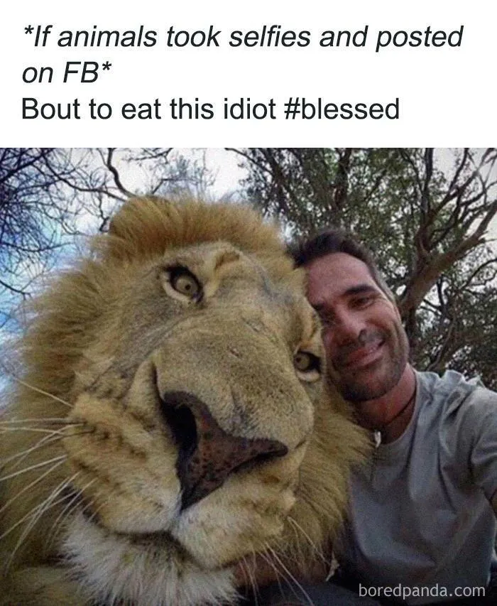 50 Funny Instagram Memes That Might Make You Chuckle
