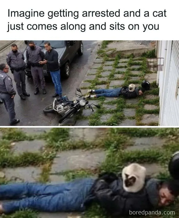 50 Funny Instagram Memes That Might Make You Chuckle