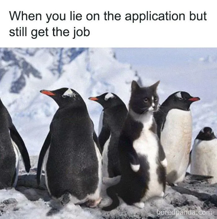 50 Hilarious Memes That Combine The Internet's Two Most Favorite Things - Animals And Humor