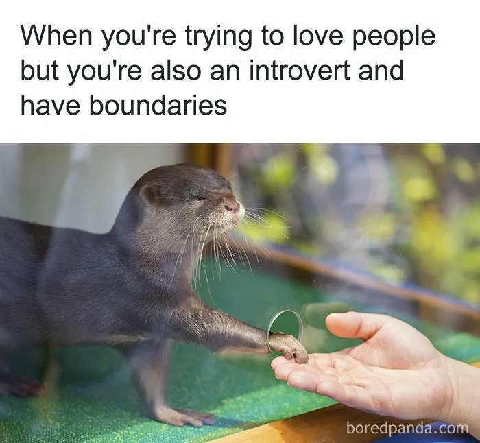 50 Hilarious Memes That Combine The Internet's Two Most Favorite Things - Animals And Humor