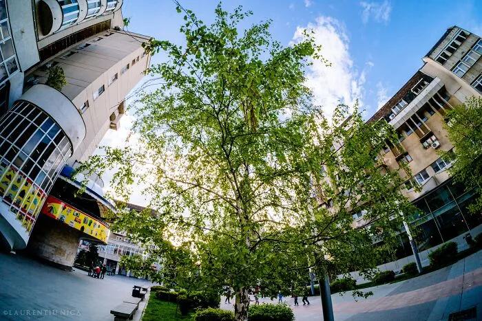 I Took Pictures Of Sunny Craiova In Romania (40 Pics)