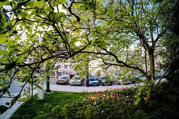 I Took Pictures Of Sunny Craiova In Romania (40 Pics)