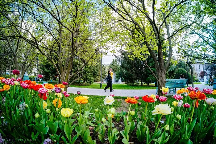 I Took Pictures Of Sunny Craiova In Romania (40 Pics)