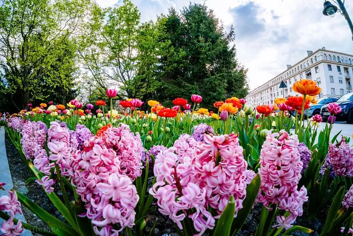 I Took Pictures Of Sunny Craiova In Romania (40 Pics)