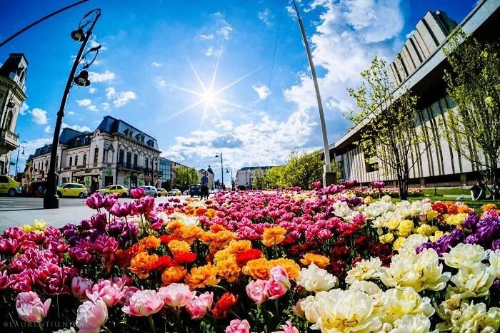 I Took Pictures Of Sunny Craiova In Romania (40 Pics)