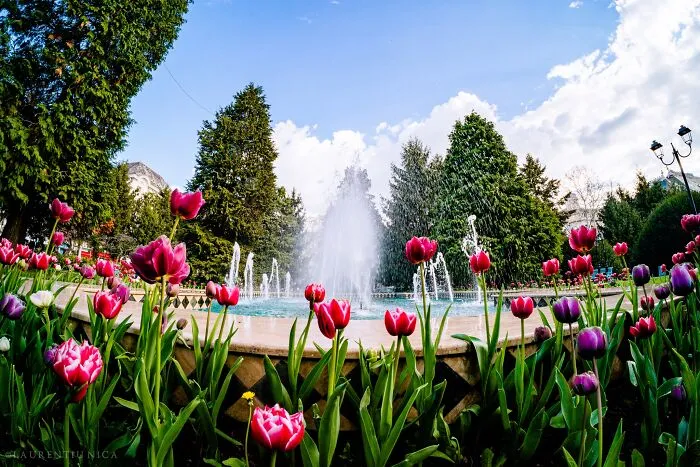 I Took Pictures Of Sunny Craiova In Romania (40 Pics)