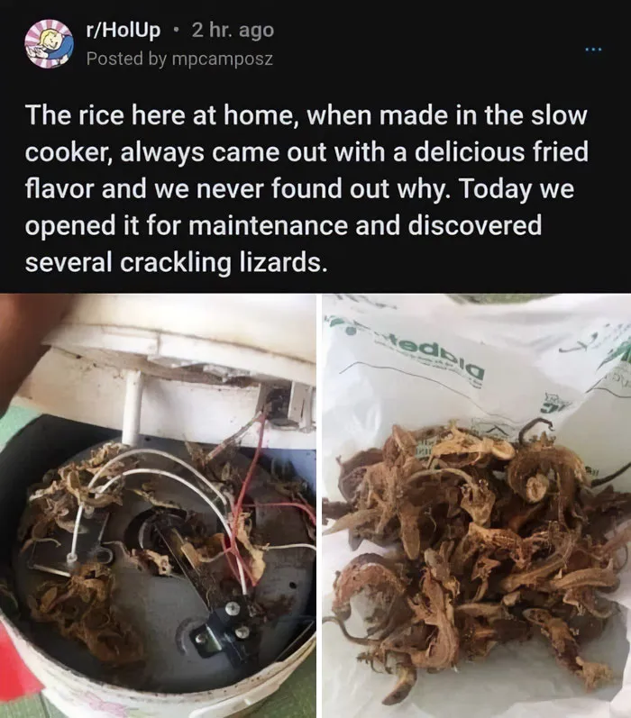 50 Times People Disrespected Food In The Worst Ways And Were Shamed On This Online Page