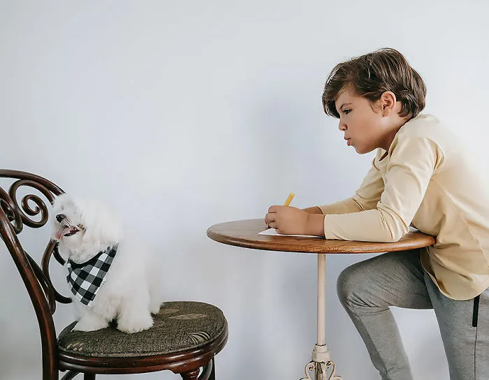 Host A Dog-Drawing Contest