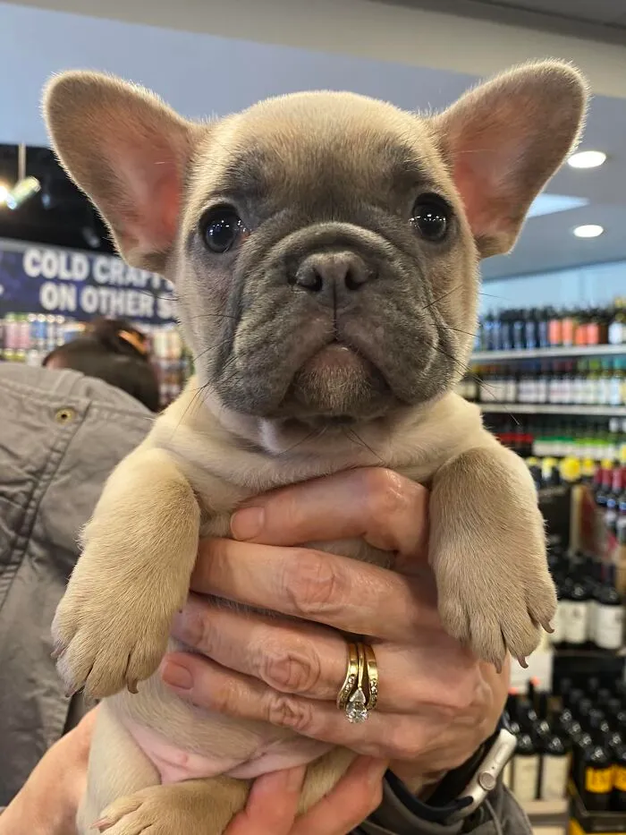 Spotted The New Girl At The Local Liquor Store- I Am Going To Be Buying A Lot More Wine…