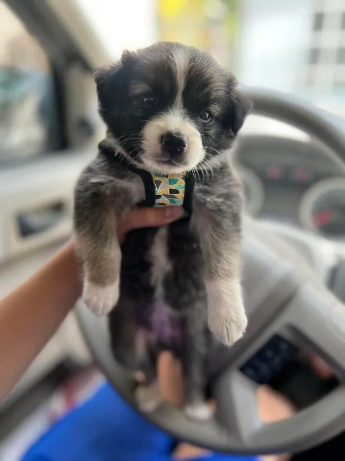 Hi My Name Is Ela 