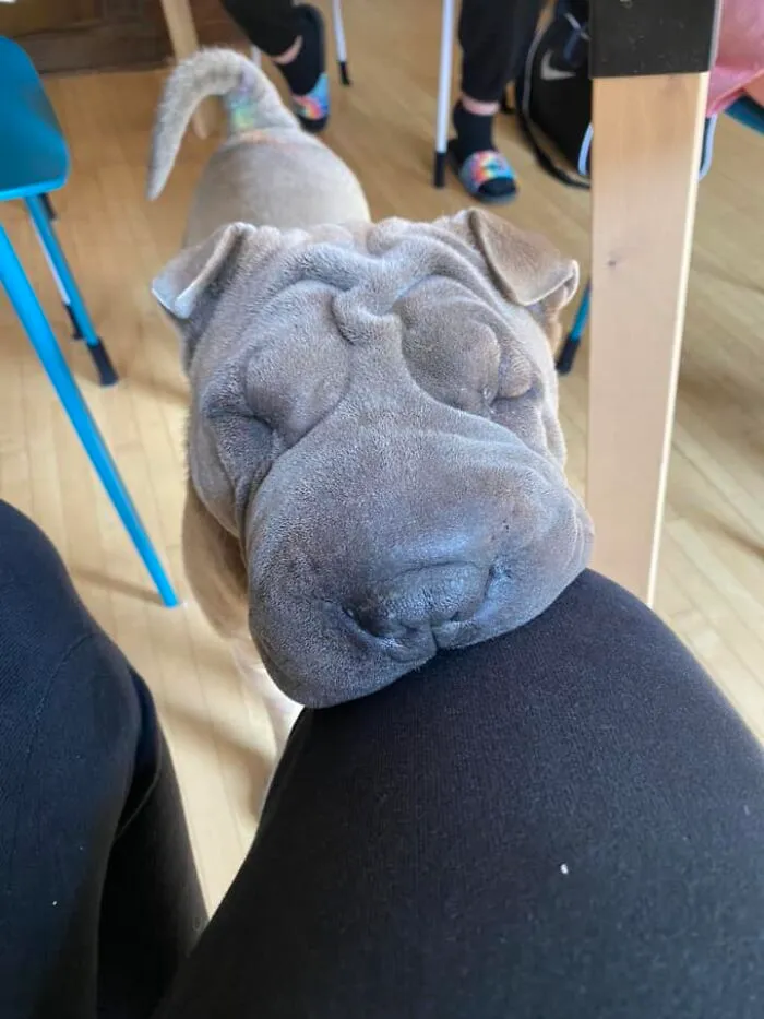 Squishy Boy