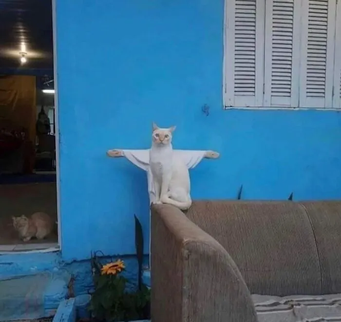 Una cuenta de Instagram sube fotografías urbanas que captan incidentes y encuentros aleatorios dentro de lugares públicos (30 nuevas fotos)