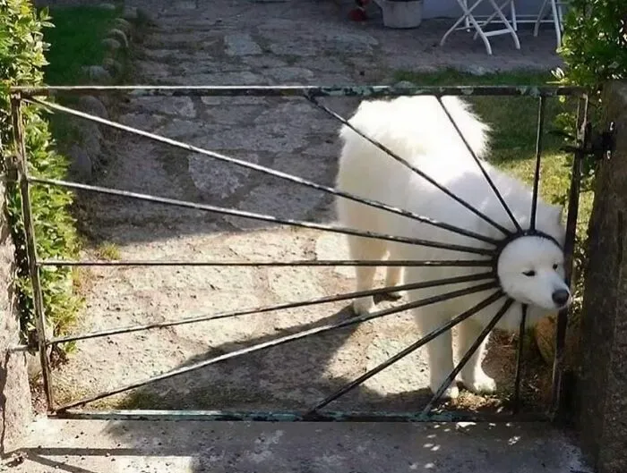 Una cuenta de Instagram sube fotografías urbanas que captan incidentes y encuentros aleatorios dentro de lugares públicos (30 nuevas fotos)